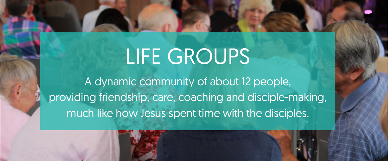 LifeGroups4