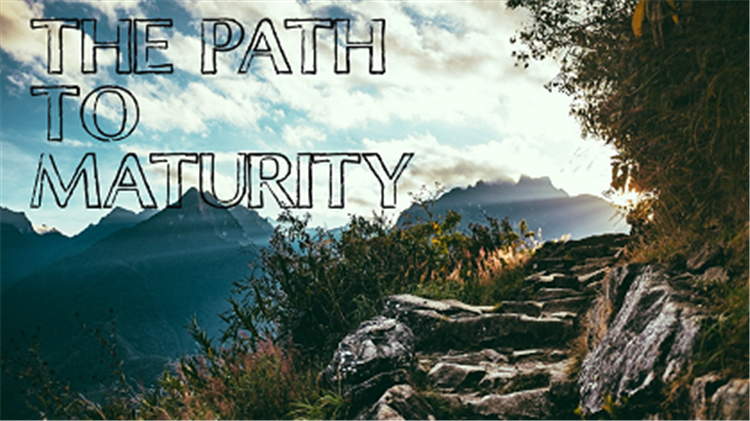 The Path to Maturity website i